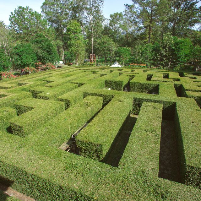 Jasa Foto Tempat Wisata Taman Dancok (2)