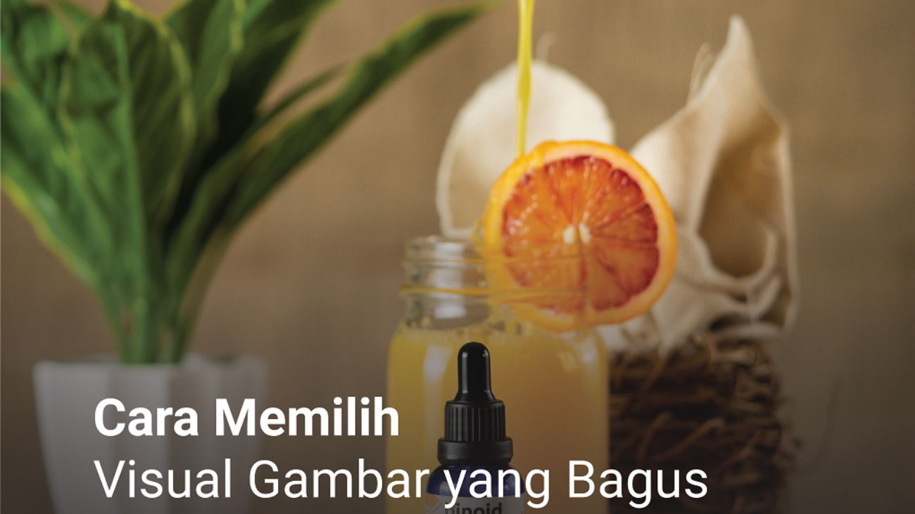 Cara Memilih Visual Gambar yang Bagus Untuk Berjualan